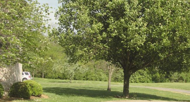 Rabbit Creek Bed & Breakfast