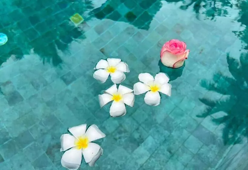 Chill Lay Resort Donsak