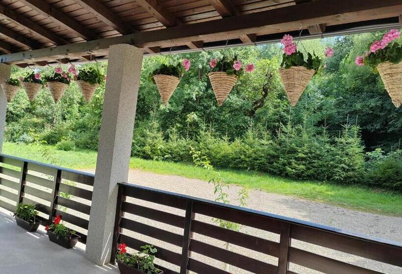 هتل Pensiunea La Cazaci