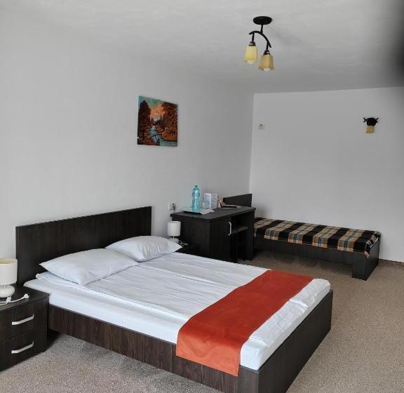 هتل Pensiunea La Cazaci