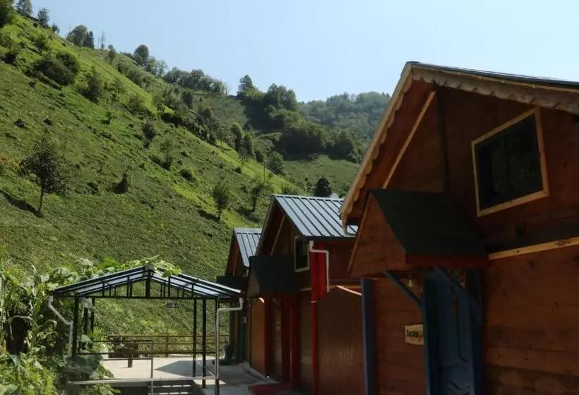 Hotelli The Reo S Suit