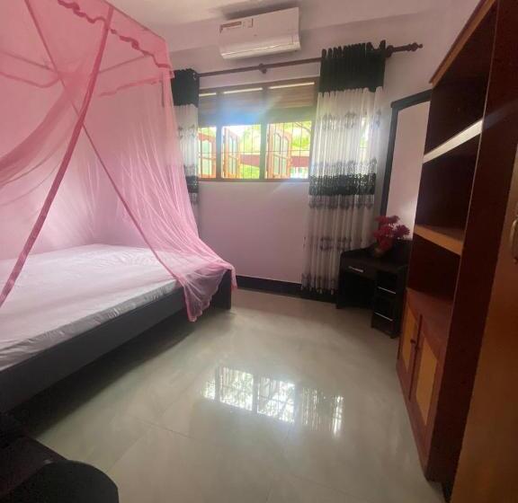 Пансион Bat House