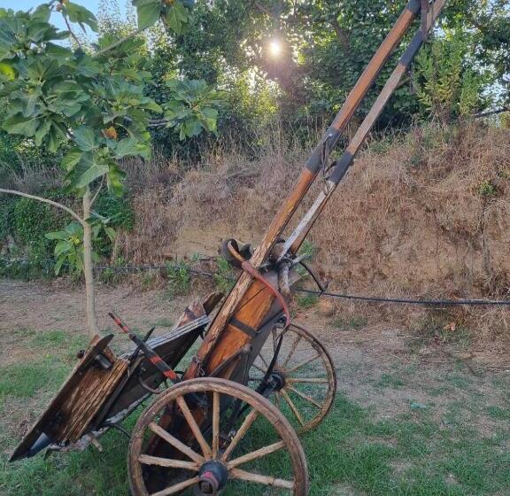 ベッドアンドブレックファースト Guar Country Resort