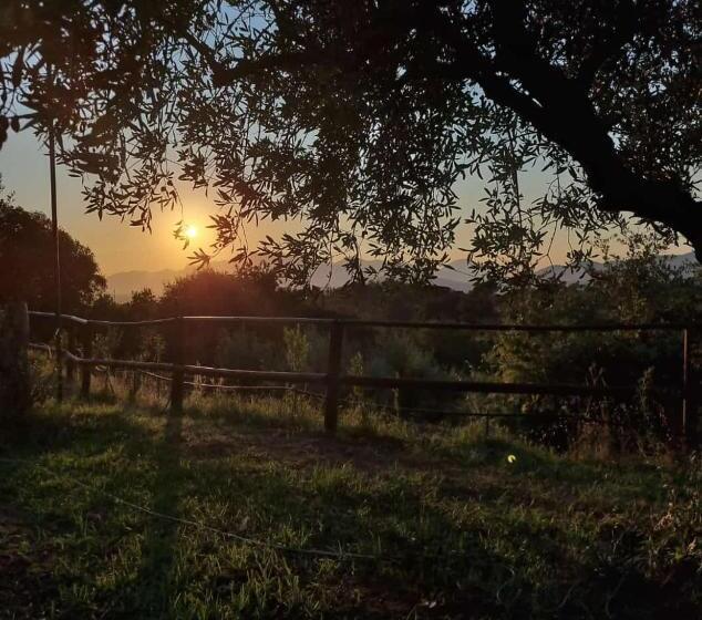 ベッドアンドブレックファースト Guar Country Resort