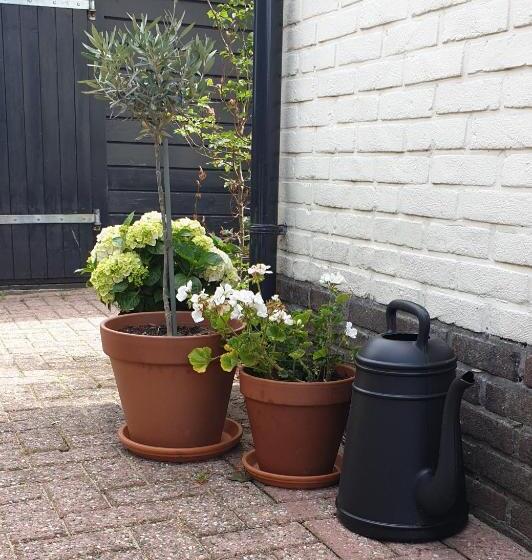 Bed And Breakfast Zeddam