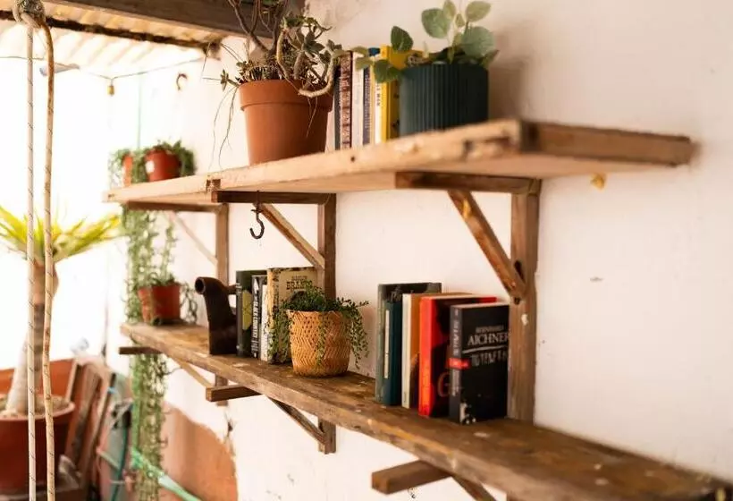 Doña Rose Surf Hostel