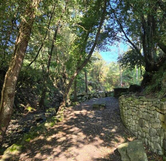 בית מלון כפרי Tenuta D Arienzo