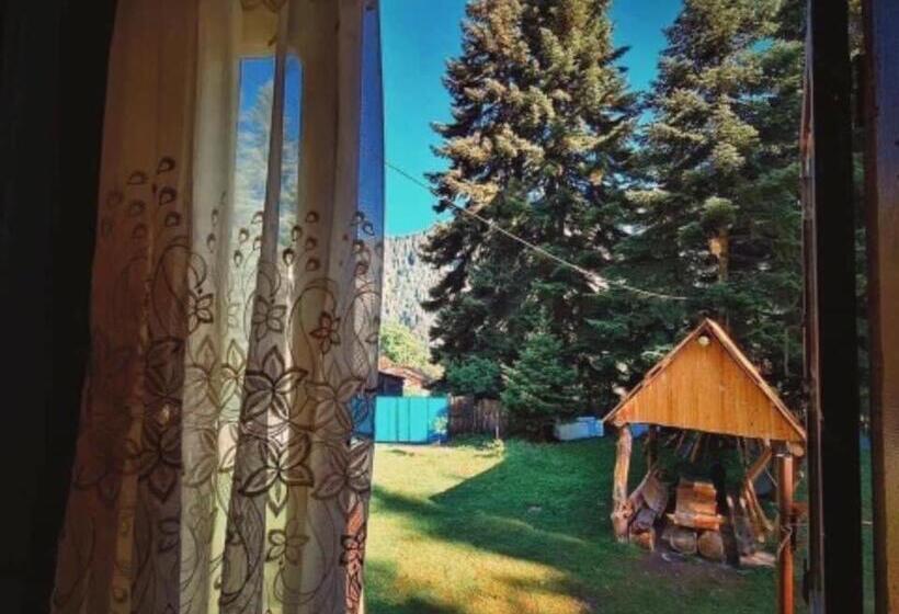 پانسیون Family Inn Glola