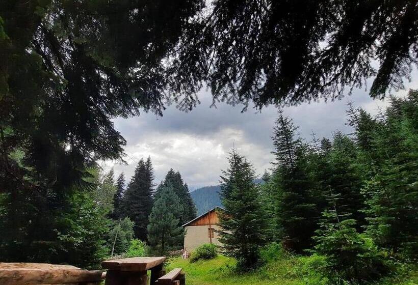 پانسیون Family Inn Glola