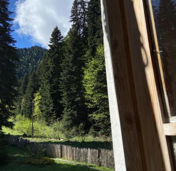 پانسیون Family Inn Glola