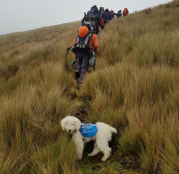 Bed & Breakfast Casa Del Montañero