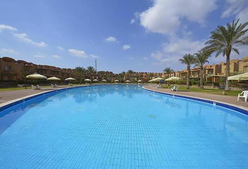 استيلا دمارى