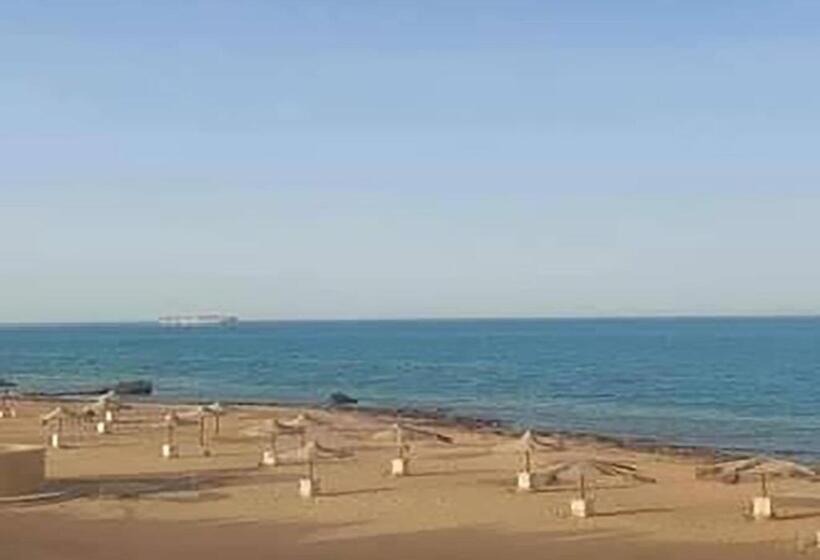 استيلا دمارى