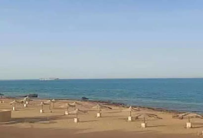 استيلا دمارى
