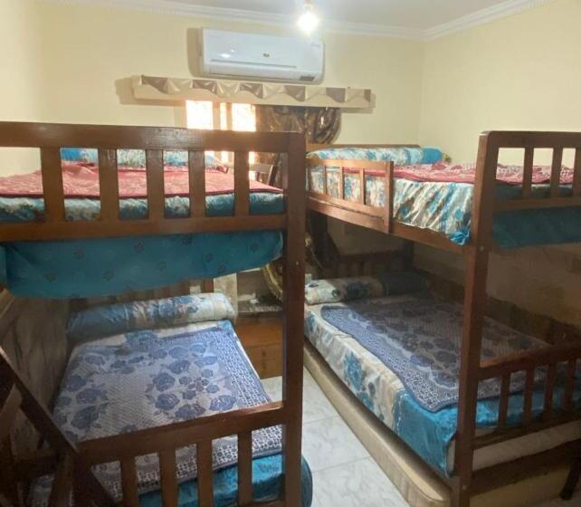 استيلا دمارى