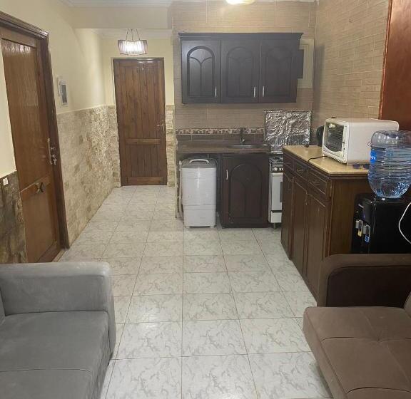 استيلا دمارى