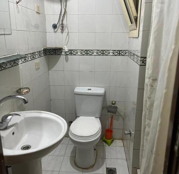 استيلا دمارى