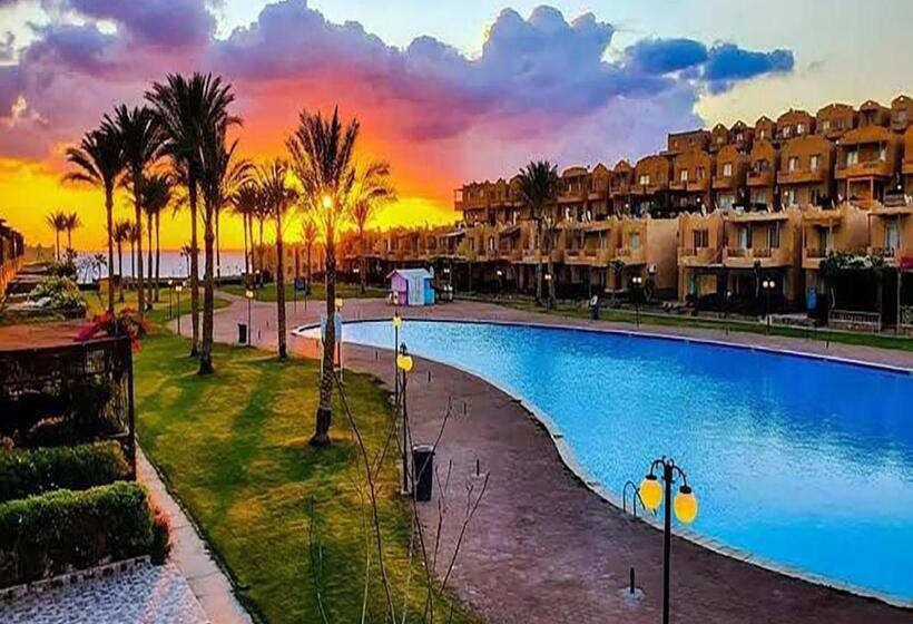 استيلا دمارى