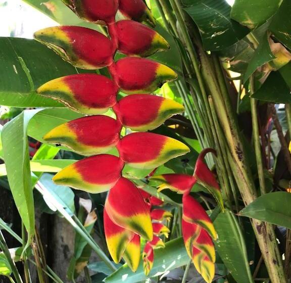 هاستل Hostal Tia Reyna