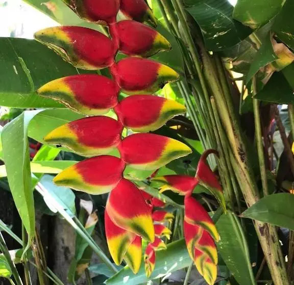 Retkeilymaja Hostal Tia Reyna