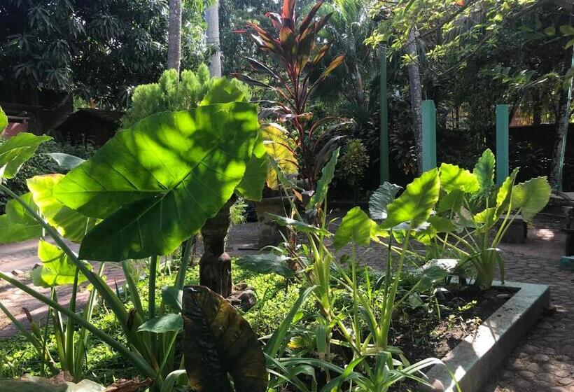 هاستل Hostal Tia Reyna