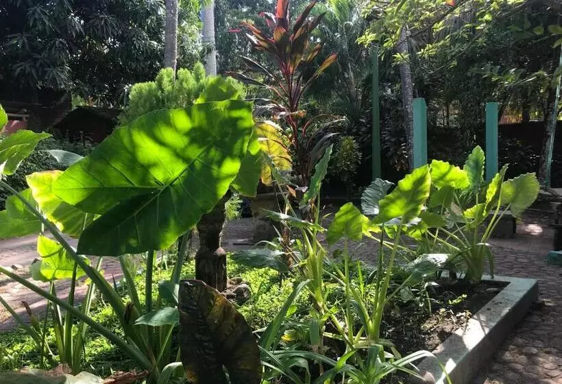 Retkeilymaja Hostal Tia Reyna