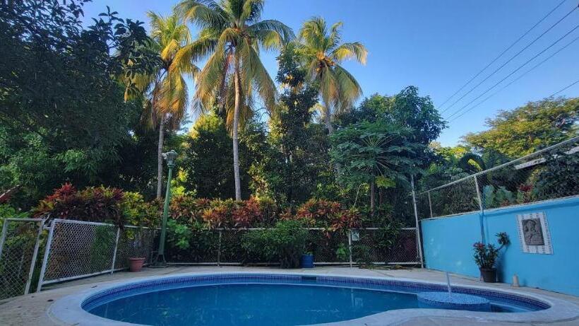 هاستل Hostal Tia Reyna