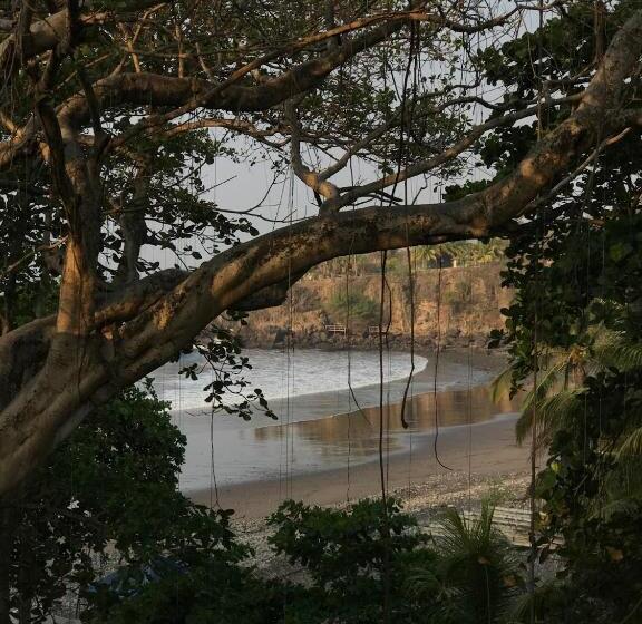 هاستل Hostal Tia Reyna