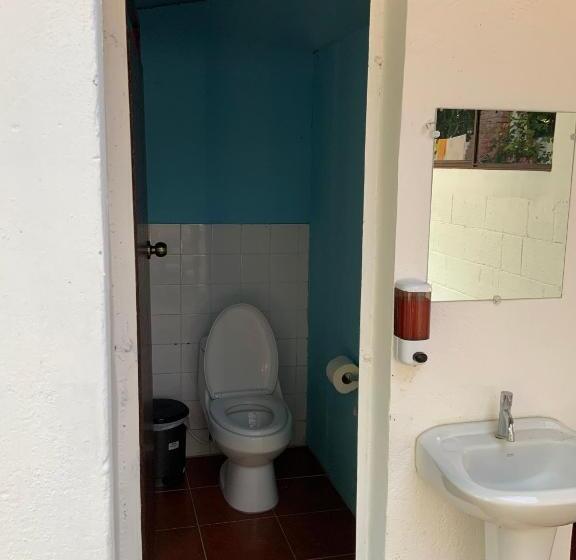 هاستل Hostal Tia Reyna