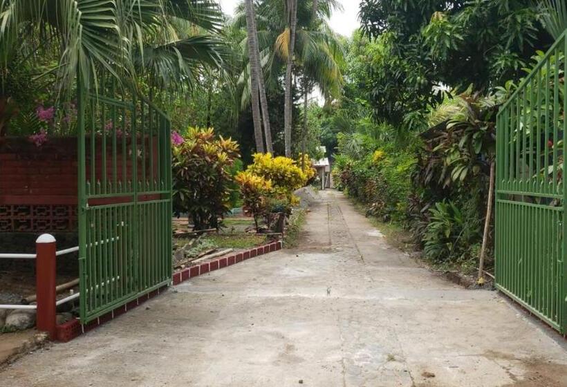 هاستل Hostal Tia Reyna