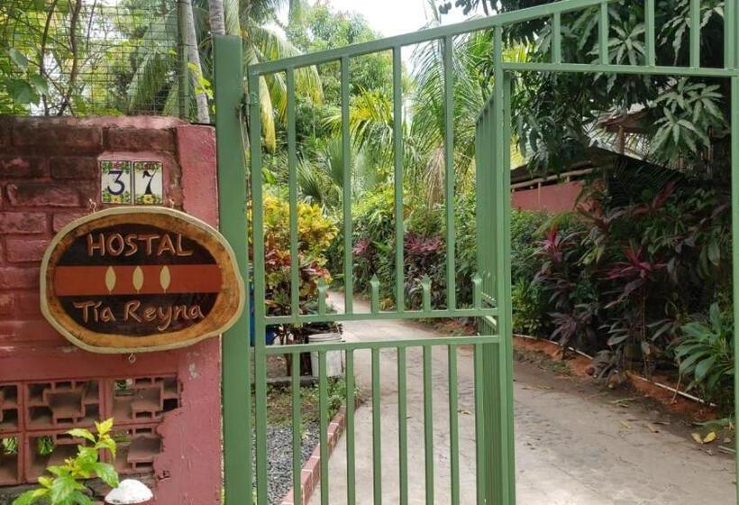 هاستل Hostal Tia Reyna