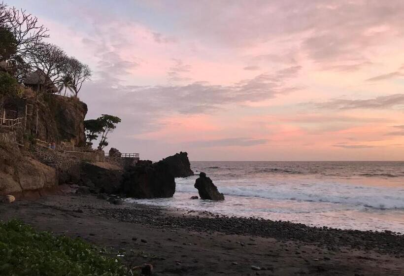 هاستل Hostal Tia Reyna