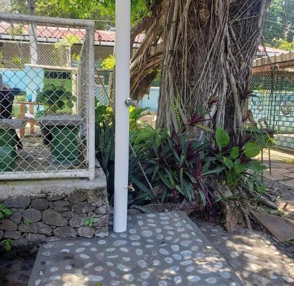 هاستل Hostal Tia Reyna