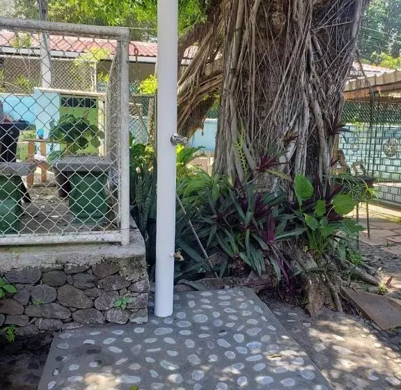 Retkeilymaja Hostal Tia Reyna