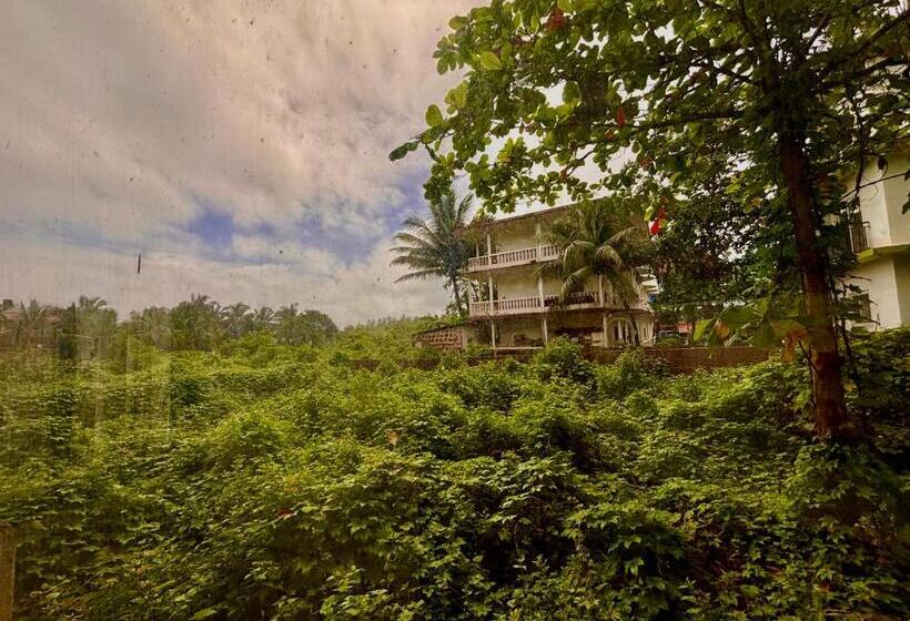 酒店 Dreamy Vibe Stays