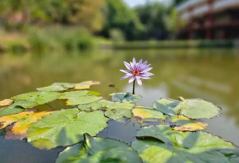 ホテル Finca Rancho Agua Salada
