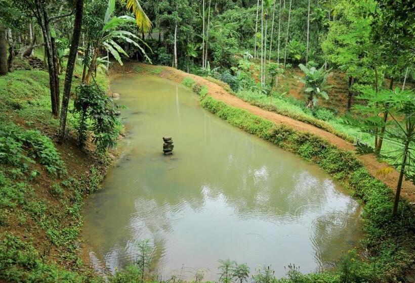 Отель Ritz Nature Villa