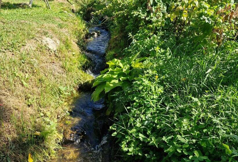 Pensiunea Agroturistica La Doina