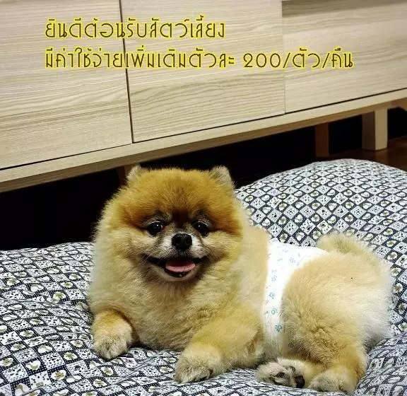 Service Apartment Lampang Room101 ใจกลางเมืองใกล้กาดกองต้า