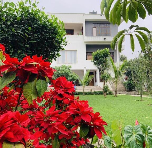 住宿加早餐 Arusha Serene Mansion