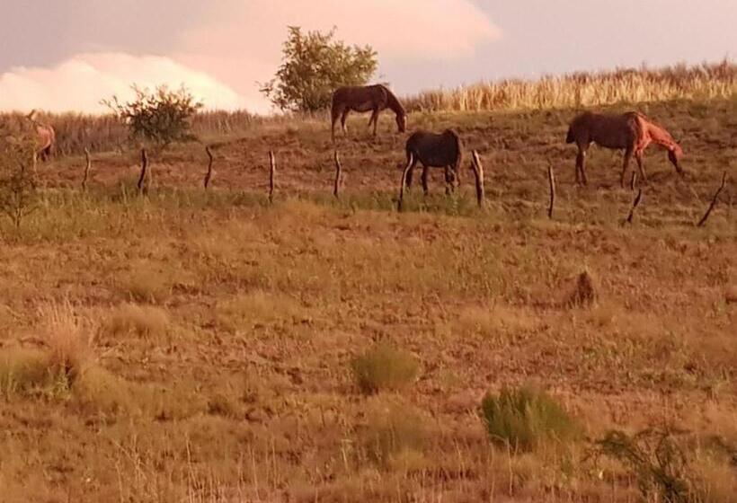ベッドアンドブレックファースト Loft En Casa Particular
