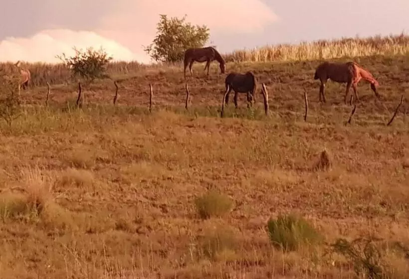 Aamiaismajoitus (B&B) Loft En Casa Particular
