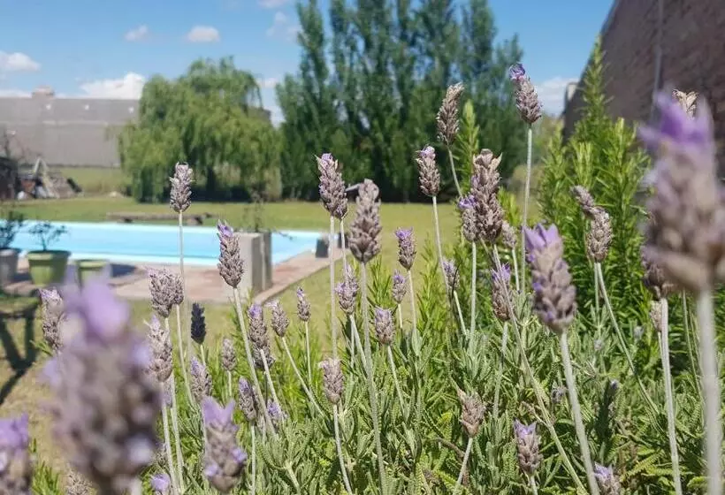 Aamiaismajoitus (B&B) Loft En Casa Particular