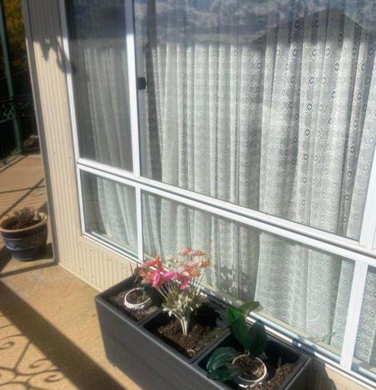 צימר Snowy Chalet