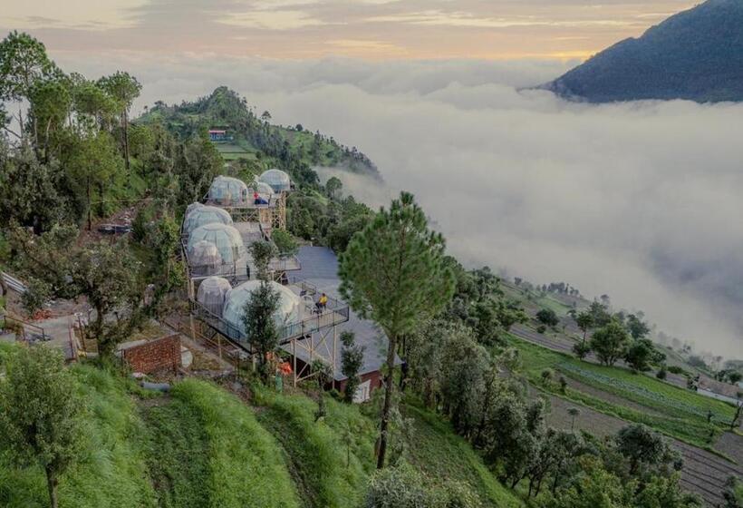 Hotel Castle Glamp Pangot