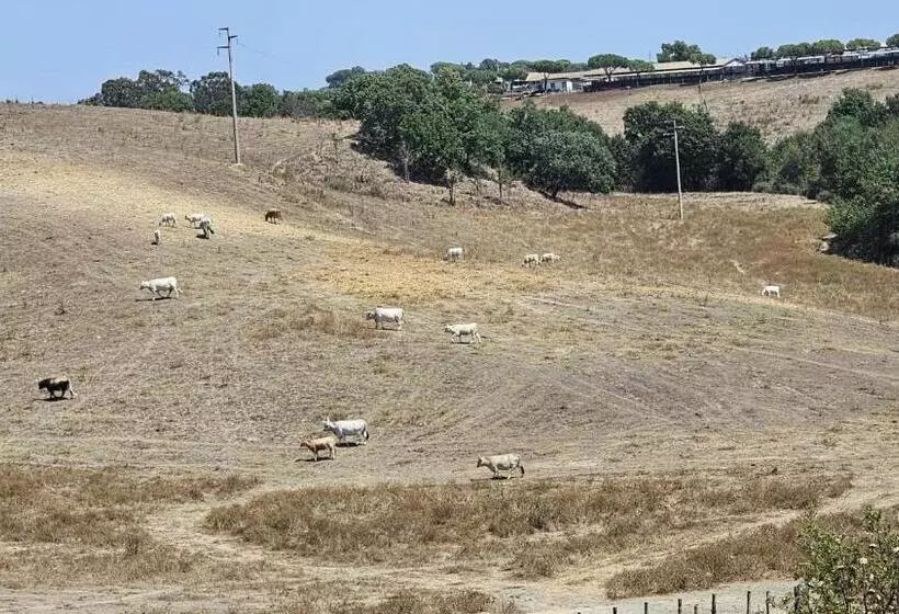 Hotelli Locanda Il Pagliaccetto