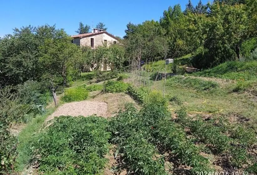 La Fonte B&b