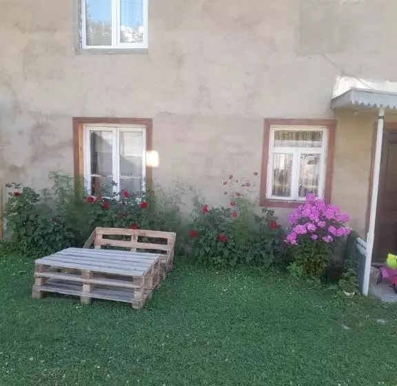 پانسیون Guesthouse   Kavkasioni