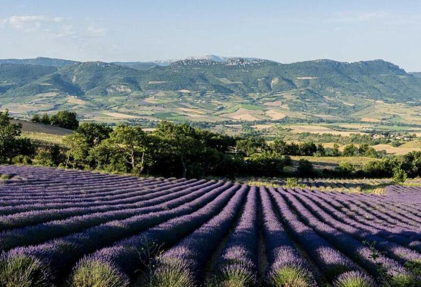 بنسيون Maison D Hôtes La Doma Venterol Chambre & Spa