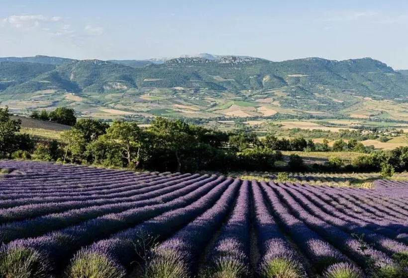 Majatalo Maison D Hôtes La Doma Venterol Chambre & Spa